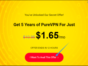 PureVPN注册和使用教學 – Purevpn中國大陸速度怎么样?