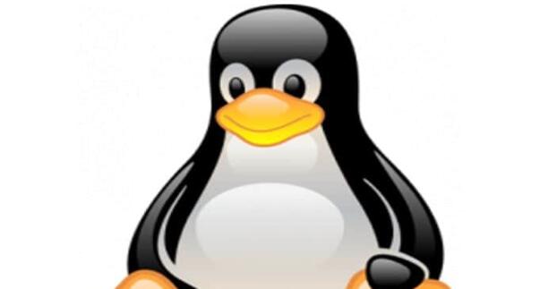 Linux最佳VPN软件